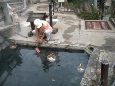 onsen-tamado01.jpg